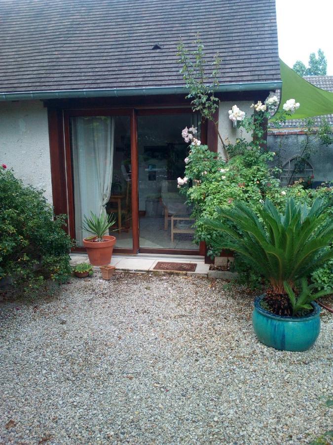 L'Orme Seul, Maison d'hôtes Vineuil (Loir-et-Cher) Exterior foto