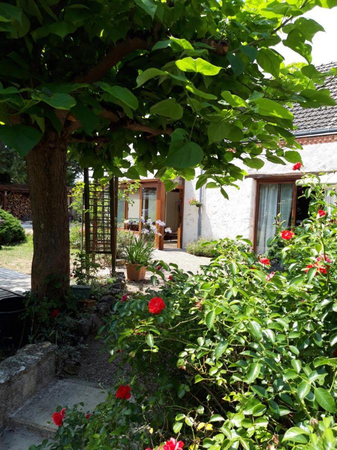 L'Orme Seul, Maison d'hôtes Vineuil (Loir-et-Cher) Exterior foto