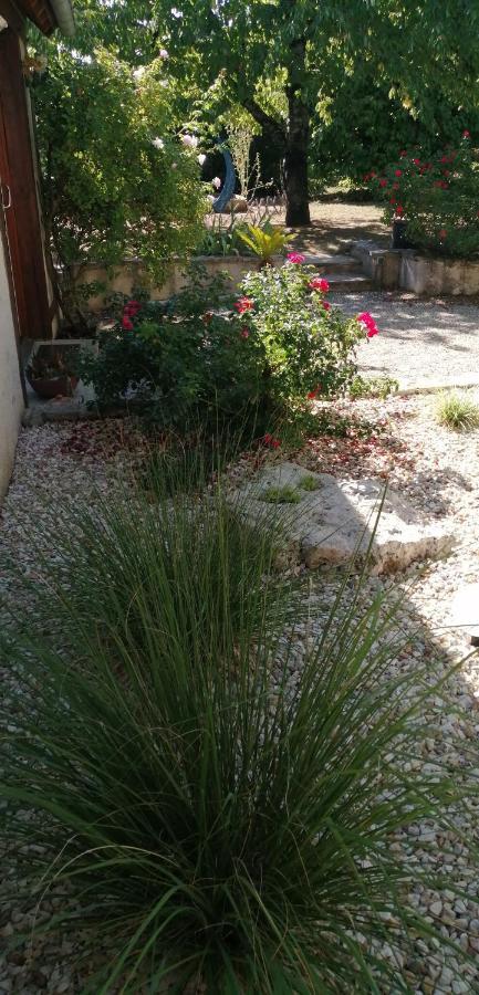 L'Orme Seul, Maison d'hôtes Vineuil (Loir-et-Cher) Exterior foto