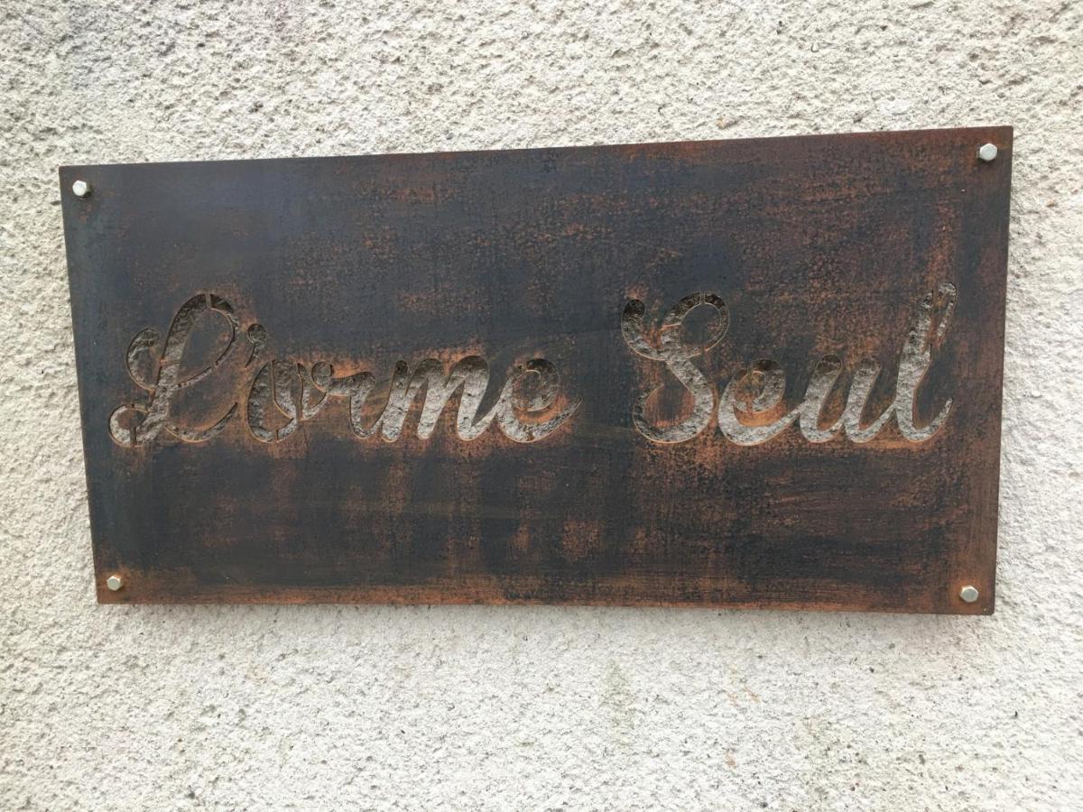 L'Orme Seul, Maison d'hôtes Vineuil (Loir-et-Cher) Exterior foto