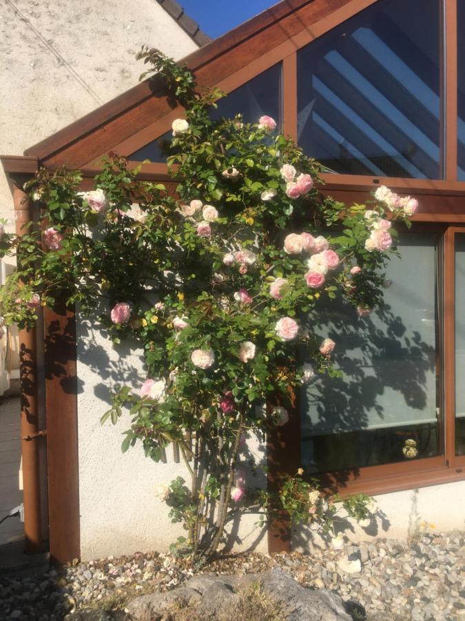 L'Orme Seul, Maison d'hôtes Vineuil (Loir-et-Cher) Exterior foto