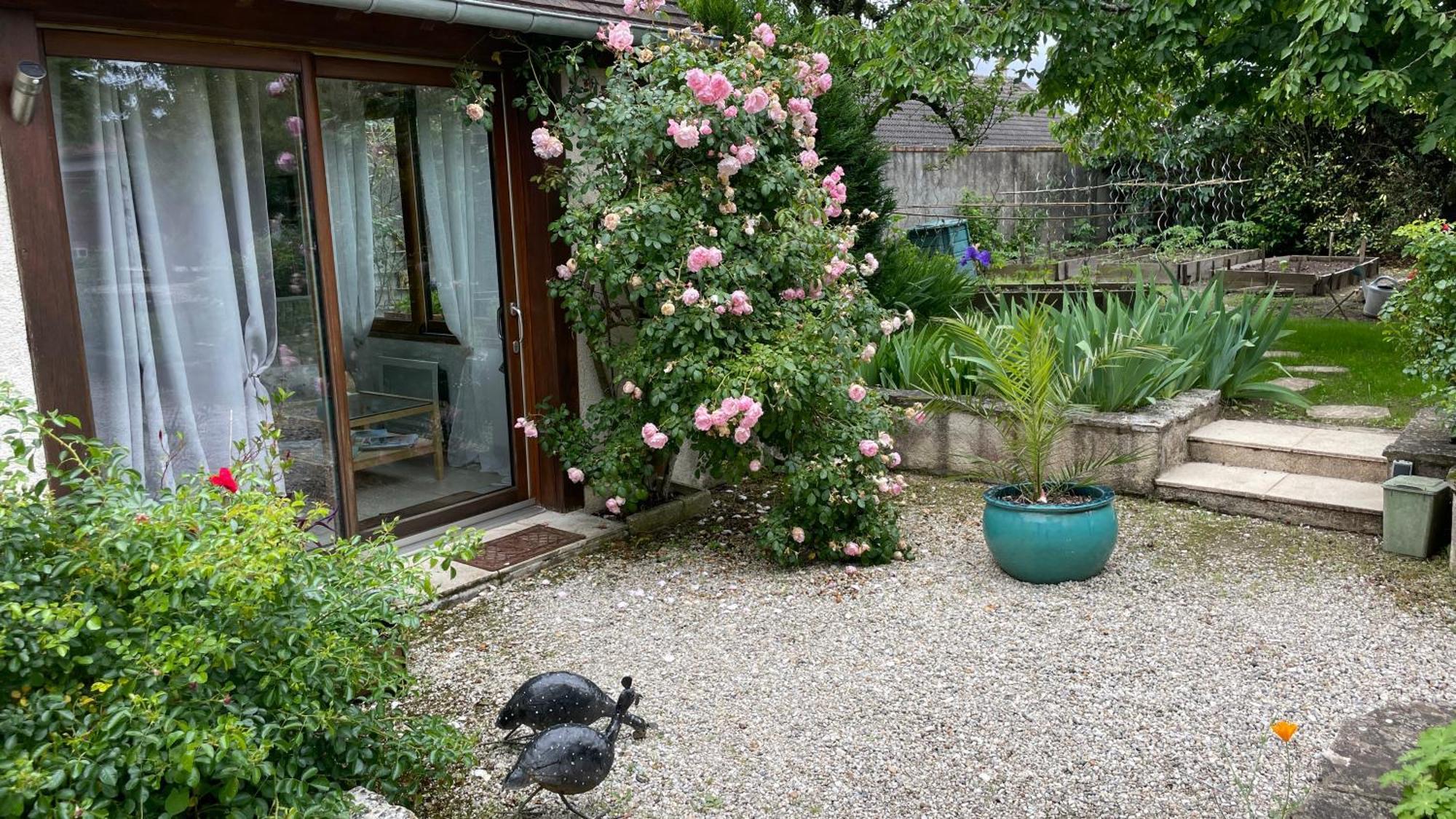 L'Orme Seul, Maison d'hôtes Vineuil (Loir-et-Cher) Exterior foto