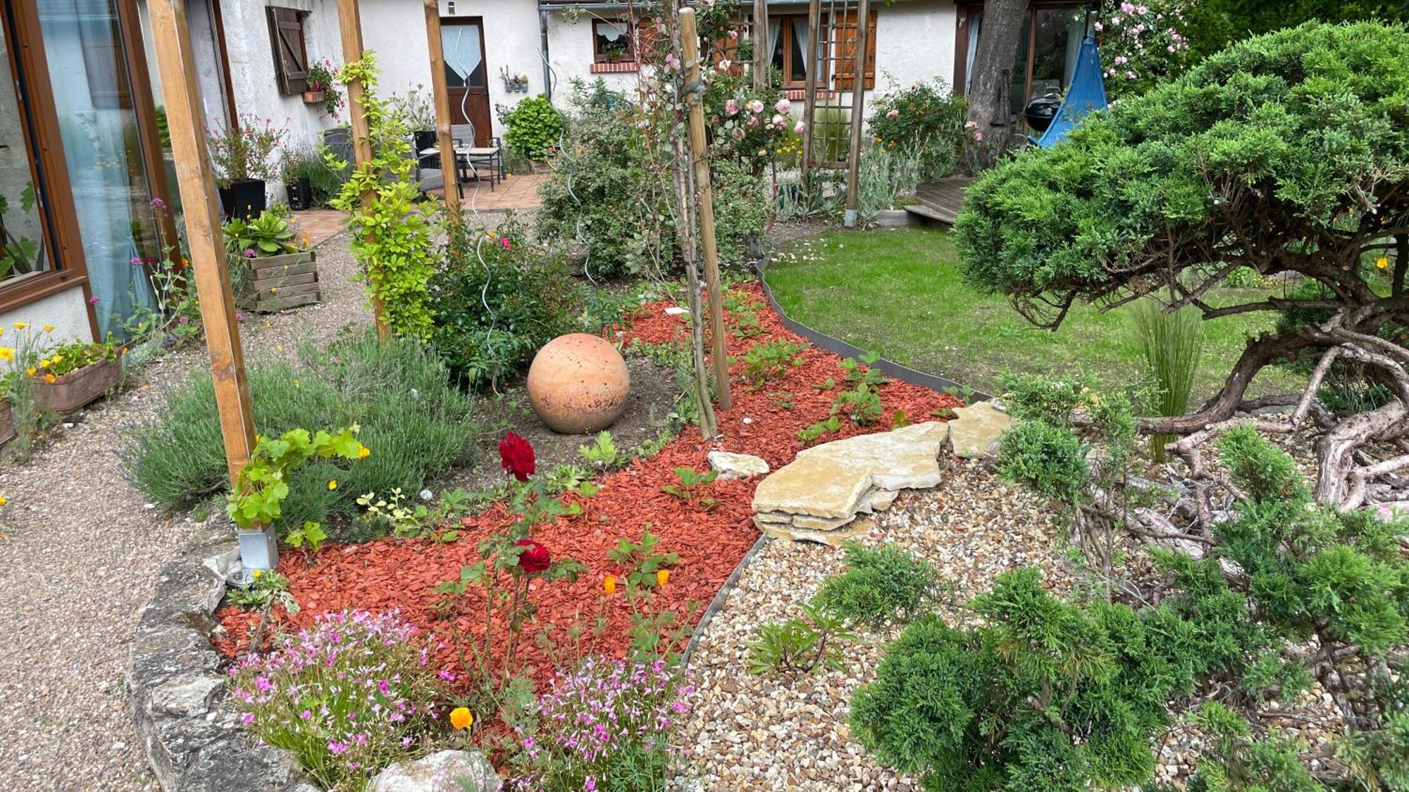 L'Orme Seul, Maison d'hôtes Vineuil (Loir-et-Cher) Exterior foto